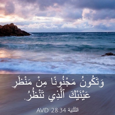 Picture 03 - اَلتَّثْنِيَة 28:34 AVD - وَتَكُونُ مَجْنُونًا مِنْ - Bible Verse Picture