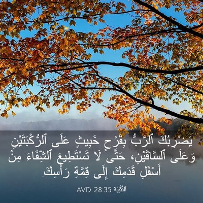 Picture 03 - اَلتَّثْنِيَة 28:35 AVD - يَضْرِبُكَ ٱلرَّبُّ - Bible Verse Picture