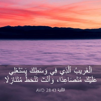 Picture 03 - اَلتَّثْنِيَة 28:43 AVD - اَلْغَرِيبُ ٱلَّذِي فِي - Bible Verse Picture