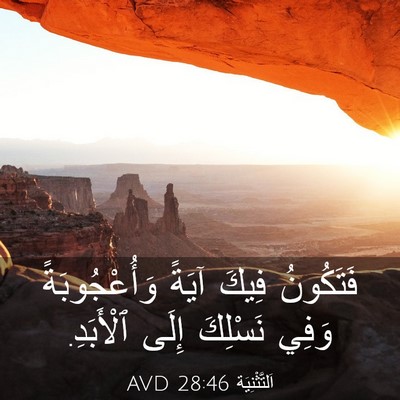 Picture 03 - اَلتَّثْنِيَة 28:46 AVD - فَتَكُونُ فِيكَ آيَةً - Bible Verse Picture