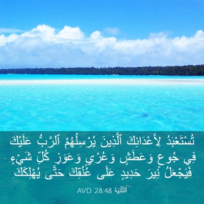 Picture 03 - اَلتَّثْنِيَة 28:48 AVD - تُسْتَعْبَدُ - Bible Verse Picture