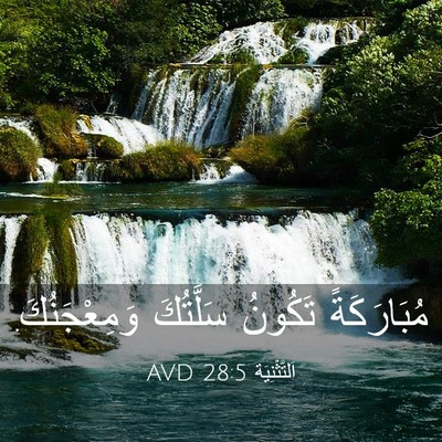 Picture 03 - اَلتَّثْنِيَة 28:5 AVD - مُبَارَكَةً تَكُونُ - Bible Verse Picture