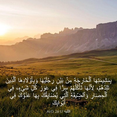 Picture 03 - اَلتَّثْنِيَة 28:57 AVD - بِمَشِيمَتِهَا - Bible Verse Picture