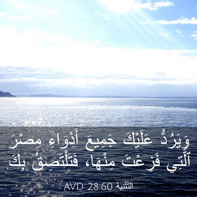 Picture 03 - اَلتَّثْنِيَة 28:60 AVD - وَيَرُدُّ عَلَيْكَ - Bible Verse Picture