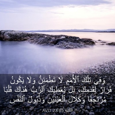 Picture 03 - اَلتَّثْنِيَة 28:65 AVD - وَفِي تِلْكَ ٱلْأُمَمِ لَا - Bible Verse Picture