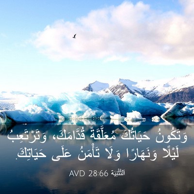 Picture 03 - اَلتَّثْنِيَة 28:66 AVD - وَتَكُونُ حَيَاتُكَ - Bible Verse Picture