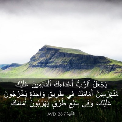 Picture 03 - اَلتَّثْنِيَة 28:7 AVD - يَجْعَلُ ٱلرَّبُّ - Bible Verse Picture