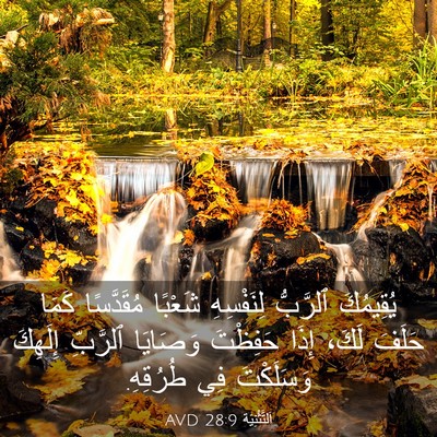 Picture 03 - اَلتَّثْنِيَة 28:9 AVD - يُقِيمُكَ ٱلرَّبُّ - Bible Verse Picture