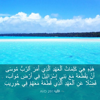 Picture 03 - اَلتَّثْنِيَة 29:1 AVD - هَذِهِ هِيَ كَلِمَاتُ - Bible Verse Picture