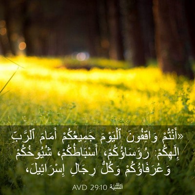 Picture 03 - اَلتَّثْنِيَة 29:10 AVD - «أَنْتُمْ وَاقِفُونَ - Bible Verse Picture