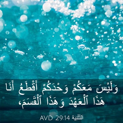 Picture 03 - اَلتَّثْنِيَة 29:14 AVD - وَلَيْسَ مَعَكُمْ - Bible Verse Picture