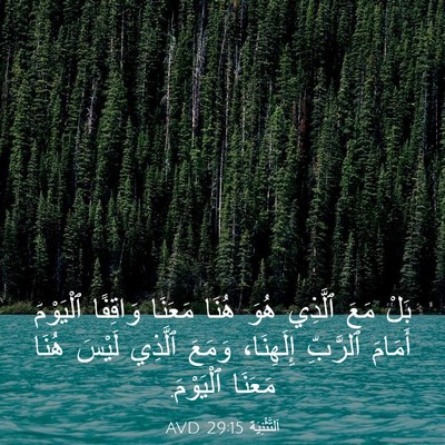 Picture 03 - اَلتَّثْنِيَة 29:15 AVD - بَلْ مَعَ ٱلَّذِي هُوَ - Bible Verse Picture