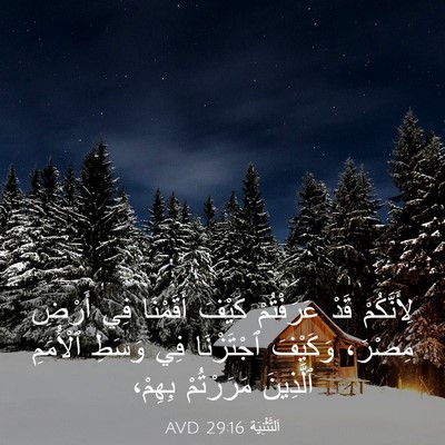 Picture 03 - اَلتَّثْنِيَة 29:16 AVD - لِأَنَّكُمْ قَدْ - Bible Verse Picture