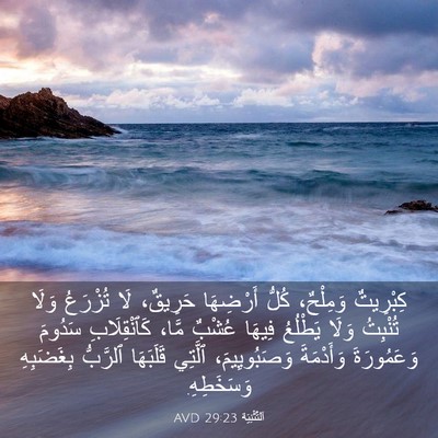 Picture 03 - اَلتَّثْنِيَة 29:23 AVD - كِبْرِيتٌ وَمِلْحٌ، كُلُّ - Bible Verse Picture