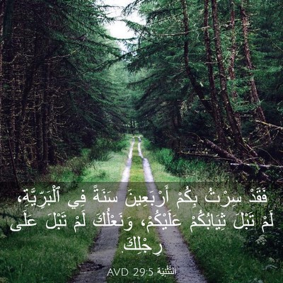 Picture 03 - اَلتَّثْنِيَة 29:5 AVD - فَقَدْ سِرْتُ بِكُمْ - Bible Verse Picture