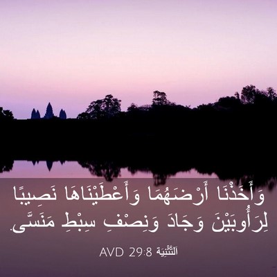 Picture 03 - اَلتَّثْنِيَة 29:8 AVD - وَأَخَذْنَا أَرْضَهُمَا - Bible Verse Picture