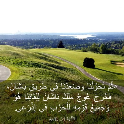 Picture 03 - اَلتَّثْنِيَة 3:1 AVD - «ثُمَّ تَحَوَّلْنَا - Bible Verse Picture