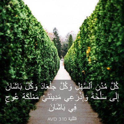 Picture 03 - اَلتَّثْنِيَة 3:10 AVD - كُلَّ مُدُنِ ٱلسَّهْلِ - Bible Verse Picture