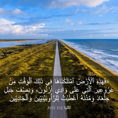 Picture 03 - اَلتَّثْنِيَة 3:12 AVD - «فَهَذِهِ ٱلْأَرْضُ - Bible Verse Picture