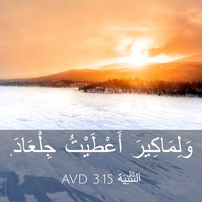 Picture 03 - اَلتَّثْنِيَة 3:15 AVD - وَلِمَاكِيرَ أَعْطَيْتُ - Bible Verse Picture