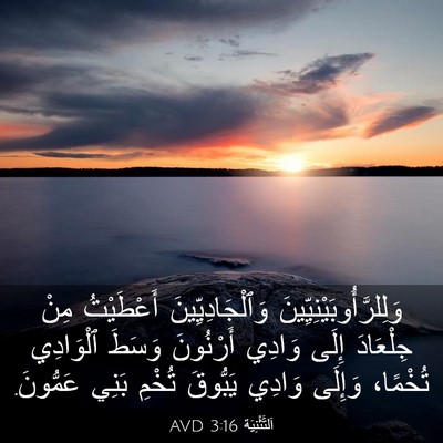 Picture 03 - اَلتَّثْنِيَة 3:16 AVD - وَلِلرَّأُوبَيْنِيِّينَ - Bible Verse Picture