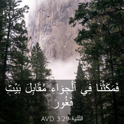 Picture 03 - اَلتَّثْنِيَة 3:29 AVD - فَمَكَثْنَا فِي - Bible Verse Picture