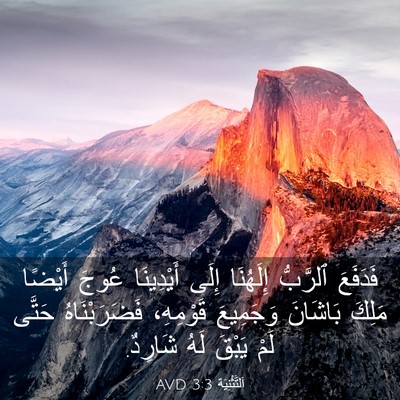 Picture 03 - اَلتَّثْنِيَة 3:3 AVD - فَدَفَعَ ٱلرَّبُّ - Bible Verse Picture
