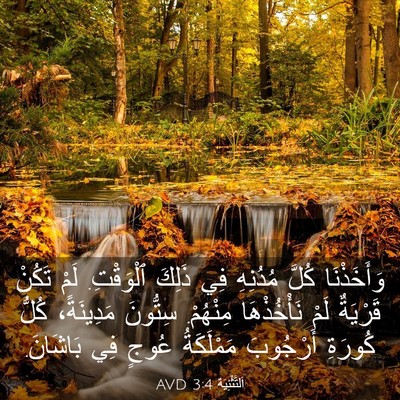 Picture 03 - اَلتَّثْنِيَة 3:4 AVD - وَأَخَذْنَا كُلَّ - Bible Verse Picture