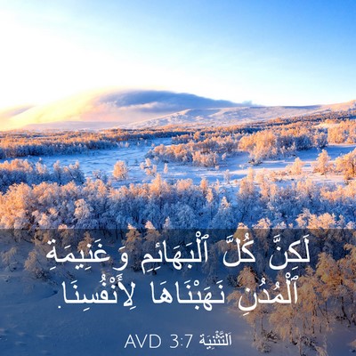 Picture 03 - اَلتَّثْنِيَة 3:7 AVD - لَكِنَّ كُلَّ - Bible Verse Picture