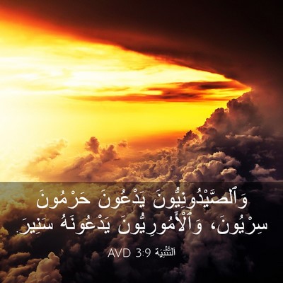Picture 03 - اَلتَّثْنِيَة 3:9 AVD - وَٱلصَّيْدُونِيُّونَ - Bible Verse Picture