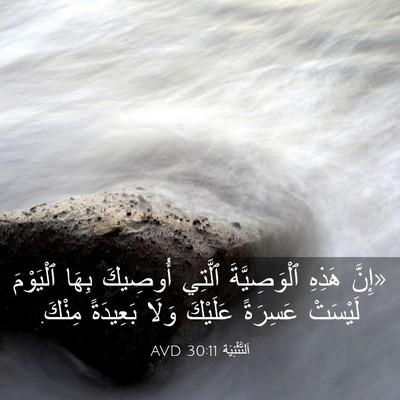 Picture 03 - اَلتَّثْنِيَة 30:11 AVD - «إِنَّ هَذِهِ - Bible Verse Picture