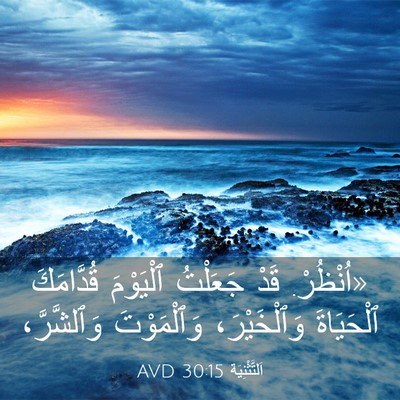Picture 03 - اَلتَّثْنِيَة 30:15 AVD - «اُنْظُرْ. قَدْ جَعَلْتُ - Bible Verse Picture