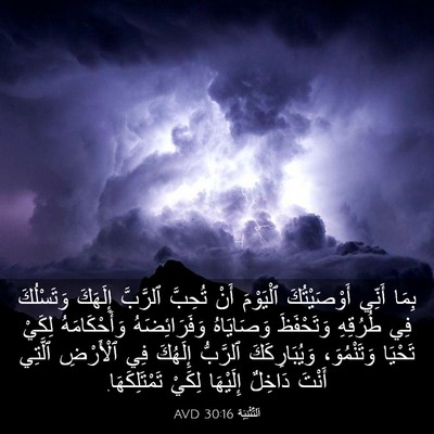 Picture 03 - اَلتَّثْنِيَة 30:16 AVD - بِمَا أَنِّي أَوْصَيْتُكَ - Bible Verse Picture