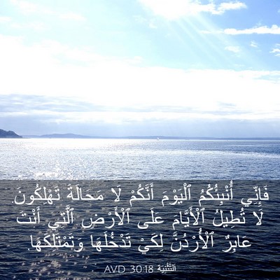 Picture 03 - اَلتَّثْنِيَة 30:18 AVD - فَإِنِّي أُنْبِئُكُمُ - Bible Verse Picture