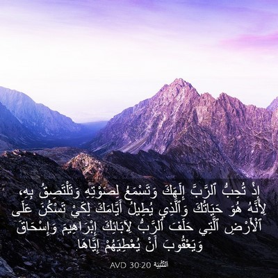 Picture 03 - اَلتَّثْنِيَة 30:20 AVD - إِذْ تُحِبُّ ٱلرَّبَّ - Bible Verse Picture