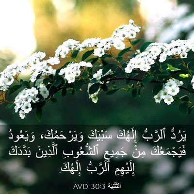 Picture 03 - اَلتَّثْنِيَة 30:3 AVD - يَرُدُّ ٱلرَّبُّ إِلَهُكَ - Bible Verse Picture
