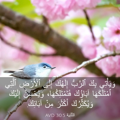 Picture 03 - اَلتَّثْنِيَة 30:5 AVD - وَيَأْتِي بِكَ ٱلرَّبُّ - Bible Verse Picture