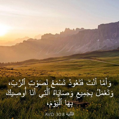 Picture 03 - اَلتَّثْنِيَة 30:8 AVD - وَأَمَّا أَنْتَ فَتَعُودُ - Bible Verse Picture
