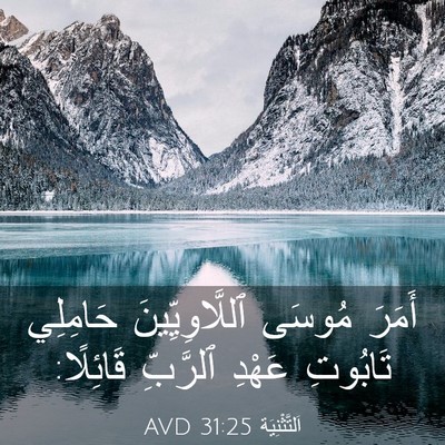 Picture 03 - اَلتَّثْنِيَة 31:25 AVD - أَمَرَ مُوسَى - Bible Verse Picture