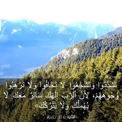 Picture 03 - اَلتَّثْنِيَة 31:6 AVD - تَشَدَّدُوا - Bible Verse Picture