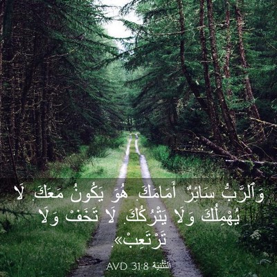 Picture 03 - اَلتَّثْنِيَة 31:8 AVD - وَٱلرَّبُّ سَائِرٌ - Bible Verse Picture