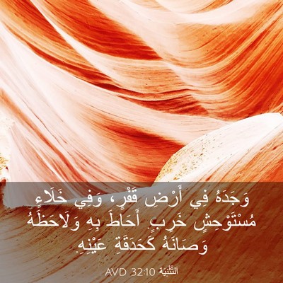 Picture 03 - اَلتَّثْنِيَة 32:10 AVD - وَجَدَهُ فِي أَرْضِ - Bible Verse Picture
