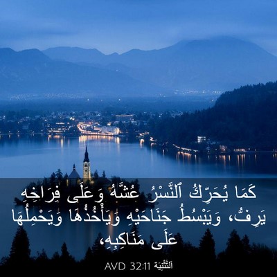 Picture 03 - اَلتَّثْنِيَة 32:11 AVD - كَمَا يُحَرِّكُ ٱلنَّسْرُ - Bible Verse Picture