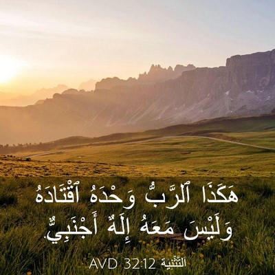 Picture 03 - اَلتَّثْنِيَة 32:12 AVD - هَكَذَا ٱلرَّبُّ وَحْدَهُ - Bible Verse Picture