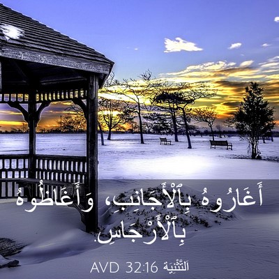 Picture 03 - اَلتَّثْنِيَة 32:16 AVD - أَغَارُوهُ - Bible Verse Picture