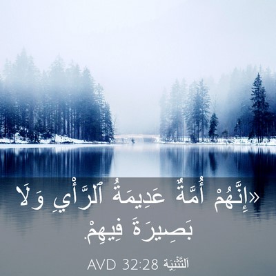 Picture 03 - اَلتَّثْنِيَة 32:28 AVD - «إِنَّهُمْ أُمَّةٌ - Bible Verse Picture