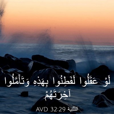 Picture 03 - اَلتَّثْنِيَة 32:29 AVD - لَوْ عَقَلُوا لَفَطِنُوا - Bible Verse Picture