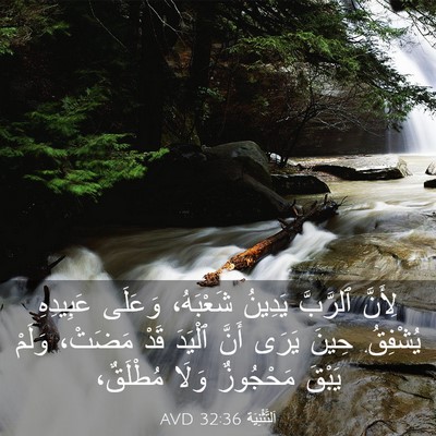 Picture 03 - اَلتَّثْنِيَة 32:36 AVD - لِأَنَّ ٱلرَّبَّ يَدِينُ - Bible Verse Picture