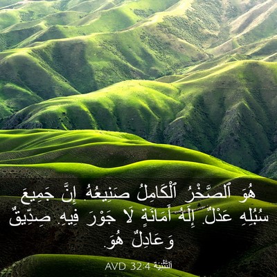 Picture 03 - اَلتَّثْنِيَة 32:4 AVD - هُوَ ٱلصَّخْرُ ٱلْكَامِلُ - Bible Verse Picture