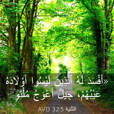 Picture 03 - اَلتَّثْنِيَة 32:5 AVD - «أَفْسَدَ لَهُ ٱلَّذِينَ - Bible Verse Picture